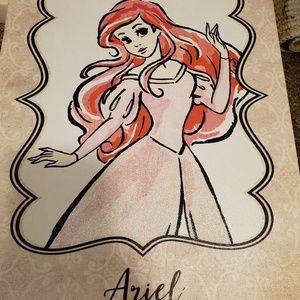 Ariel canvas